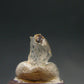 Phenakite Phenacite Gem Crystal from Mogok Burma / Myanmar 1.49 Carats
