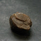 Rare Gem Bastnasite Crystal from Pakistan - 0.9" - 82.35 Carats