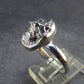 Large Meteorite Campo Del Cielo Sterling Silver Ring from Argentina - 3.77 Grams - Size 8