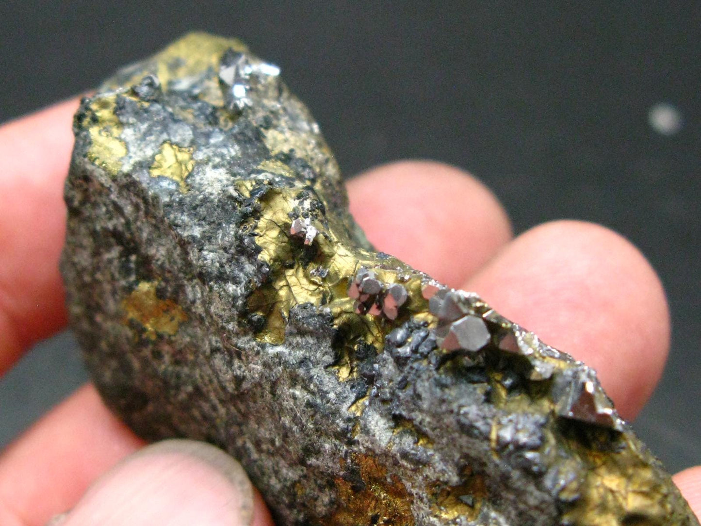 Sperrylite Crystals On Matrix From Norilsk Russia - 2.5" - 15+ Crystals