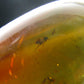 Natural Insects in Baltic Amber 925 Silver Pendant from Poland - 1.5" - 5.07 Grams