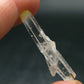 Rare Mango Quartz w/ Hallyosite Crystal From Colombia - 1.4" - 1.84 Grams
