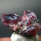 Ruby Crystal from Winza Tanzania - 0.6" - 1.31 Grams