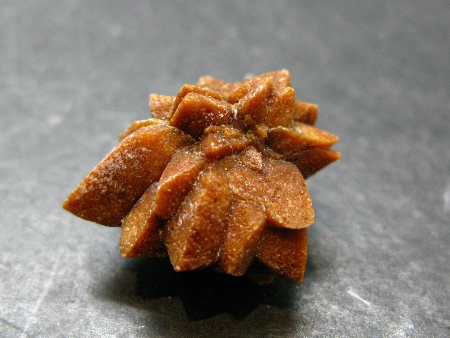 Glendonite (Ikaite after Calcite) Crystal From Russia - 1.0" - 7.61 Grams
