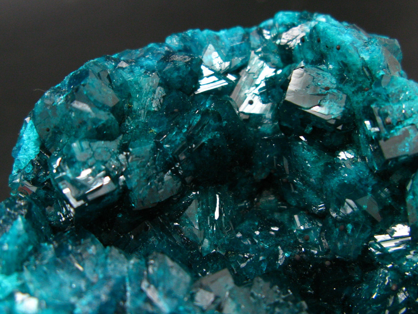 Stunning Dioptase cluster from Congo - 3.5"