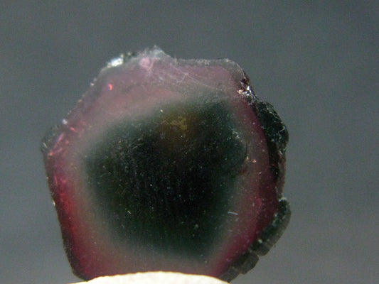 Rare Watermelon Tourmaline Crystal Slice From Brazil - 6.85 Carats