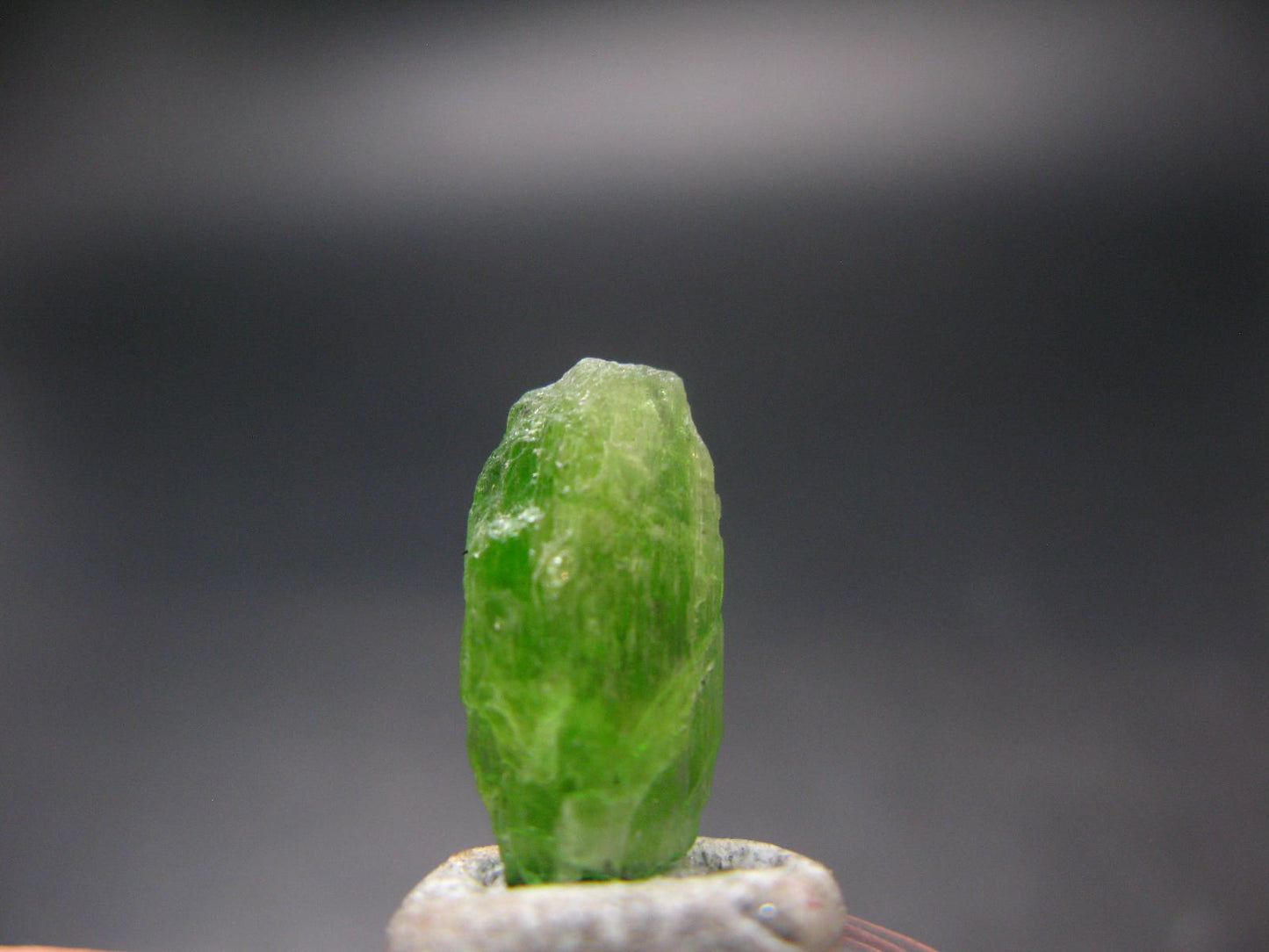Rare Neon Tremolite Crystal from Tanzania - 0.6" - 3.95 Carats