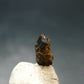 Rare Painite Crystal From Myanmar - 1.50 Carats