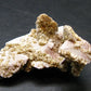 Rare Herderite Cluster from Brazil - 1.6"