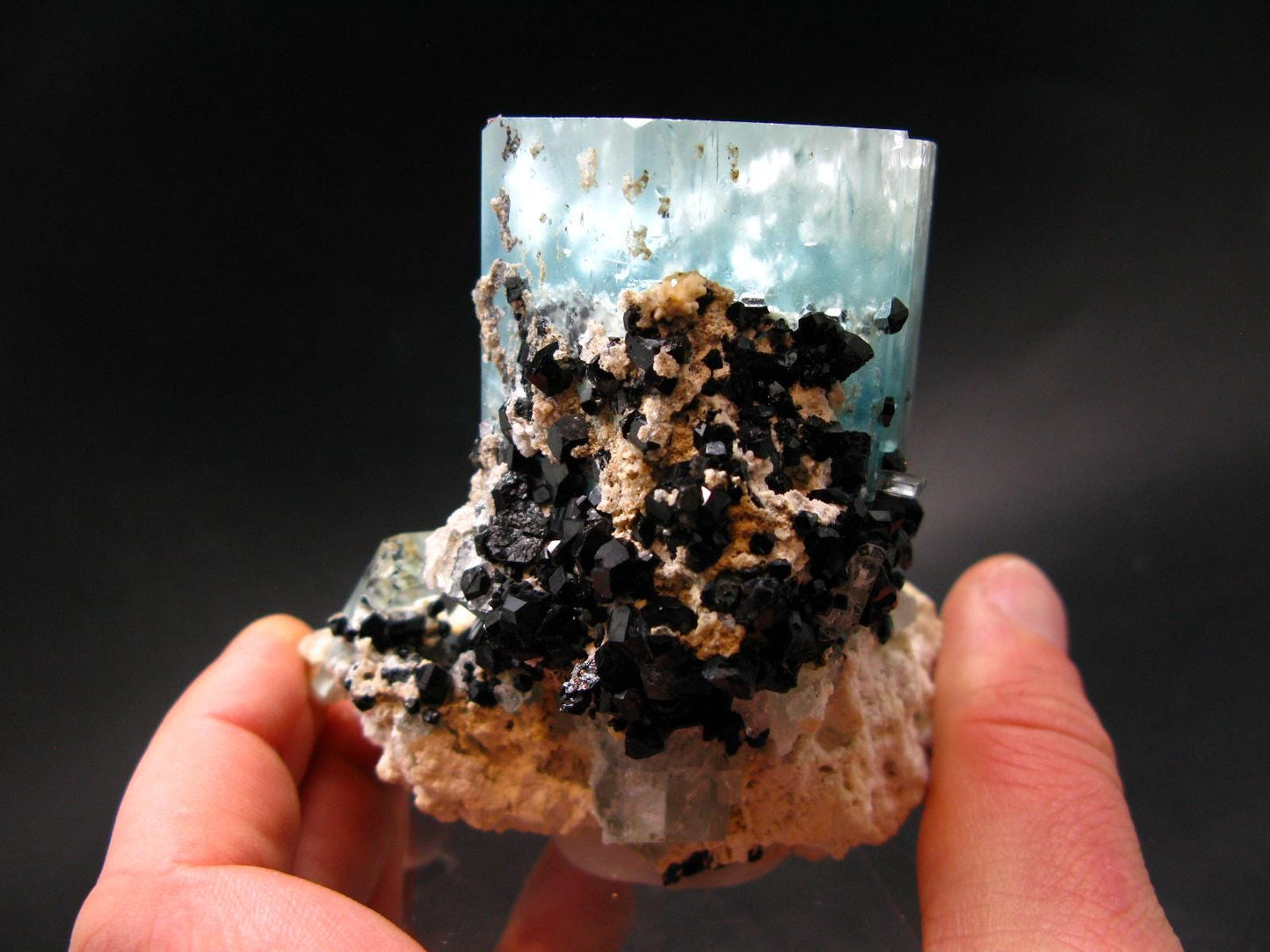 Big Aquamarine & Black Tourmaline Crystal From Erongo Namibia - 3.3"