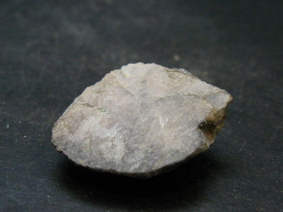 Phenakite Phenacite Polished Slice From Brazil - 10.0 Grams - 1.3"