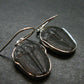 Trilobite Silver Earrings from USA - 1.3" - 4.22 Grams