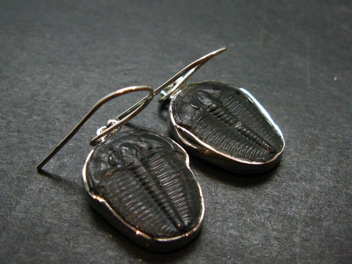 Trilobite Silver Earrings from USA - 1.3" - 4.22 Grams