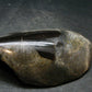 A Perfect Staurolite Polished Crystal on Matrix from Russia - 3.7" - 163.58 Grams