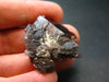 Fine Axinite Crystal from Russia - 1.1" - 6.49 Grams