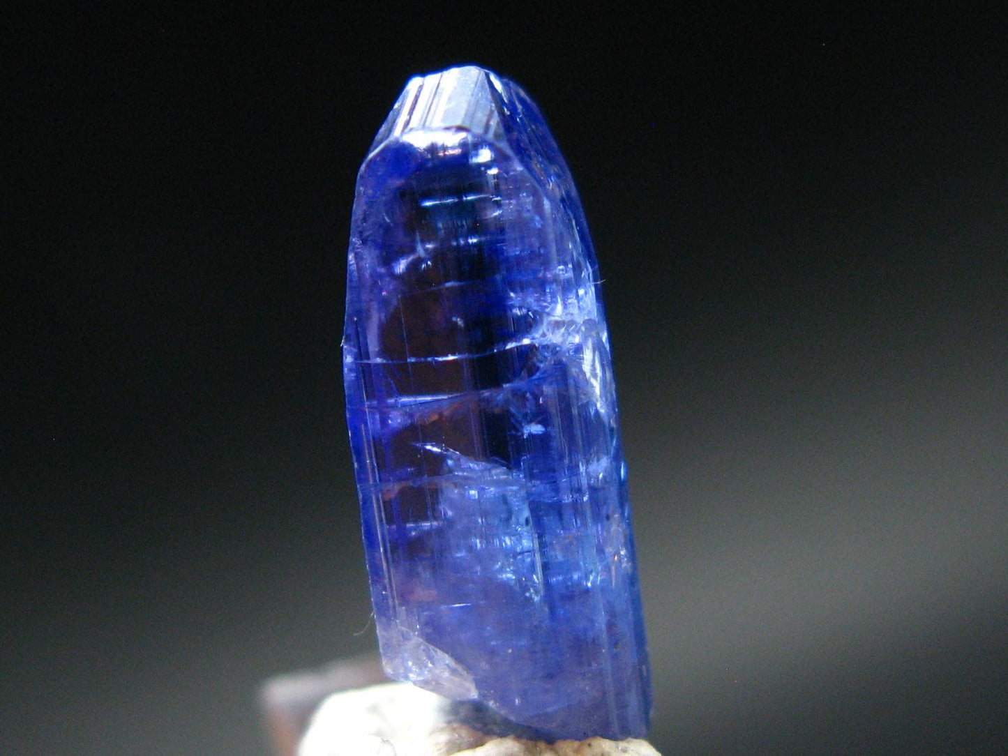 Fine Gem Tanzanite Zoisite Crystal From Tanzania - 6.50 Carats - 0.7"
