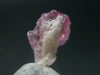 Rare Large Pezzottaite Pink Beryl from Madagascar - 1.37 Carats