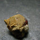 Rare Monazite Crystal From Brazil - 0.6" - 2.40 Grams