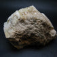Enormous Gold Danburite from Madagascar - 9.3" - 2014 Grams