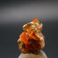 Wulfenite Cluster From Arizona - 0.8"