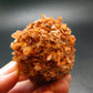 Fine Creedite Cluster From Mexico - 1.7"
