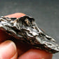 Campo Del Cielo Meteorite from Argentina - 26.97 Grams - 1.8"