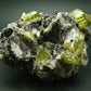 Museum Golden Apatite Cluster From Mexico - 4.8"