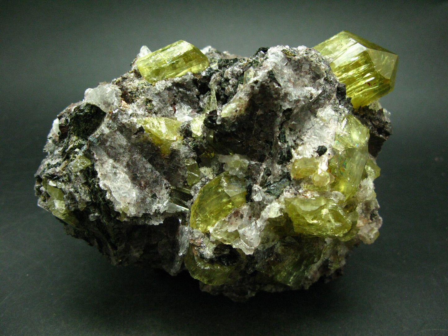 Museum Golden Apatite Cluster From Mexico - 4.8"