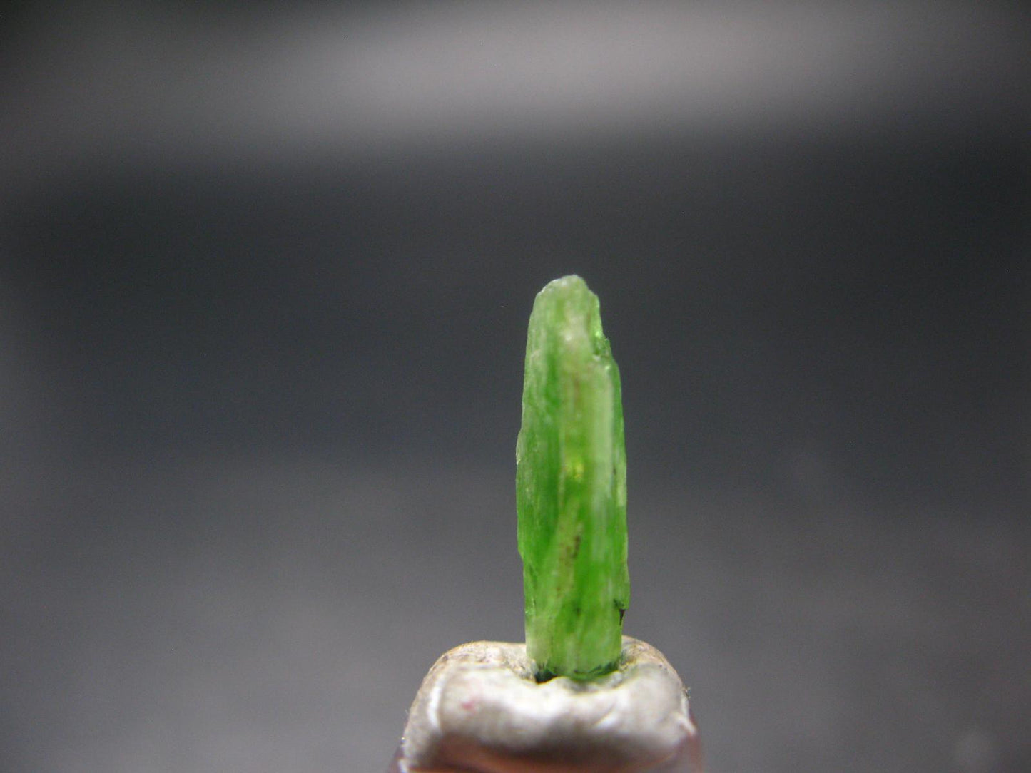 Rare Neon Tremolite Crystal from Tanzania - 0.6" - 3.95 Carats
