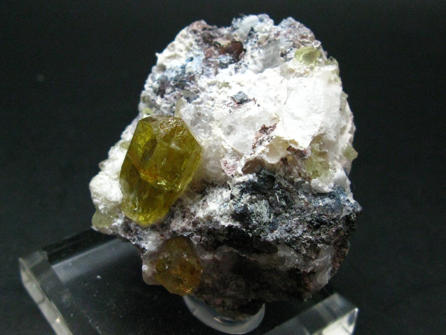 Museum Golden Apatite Cluster From Mexico - 2.2"