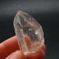 Record Keeper Lemurian Seed Quartz Crystal From Brazil - 1.5"