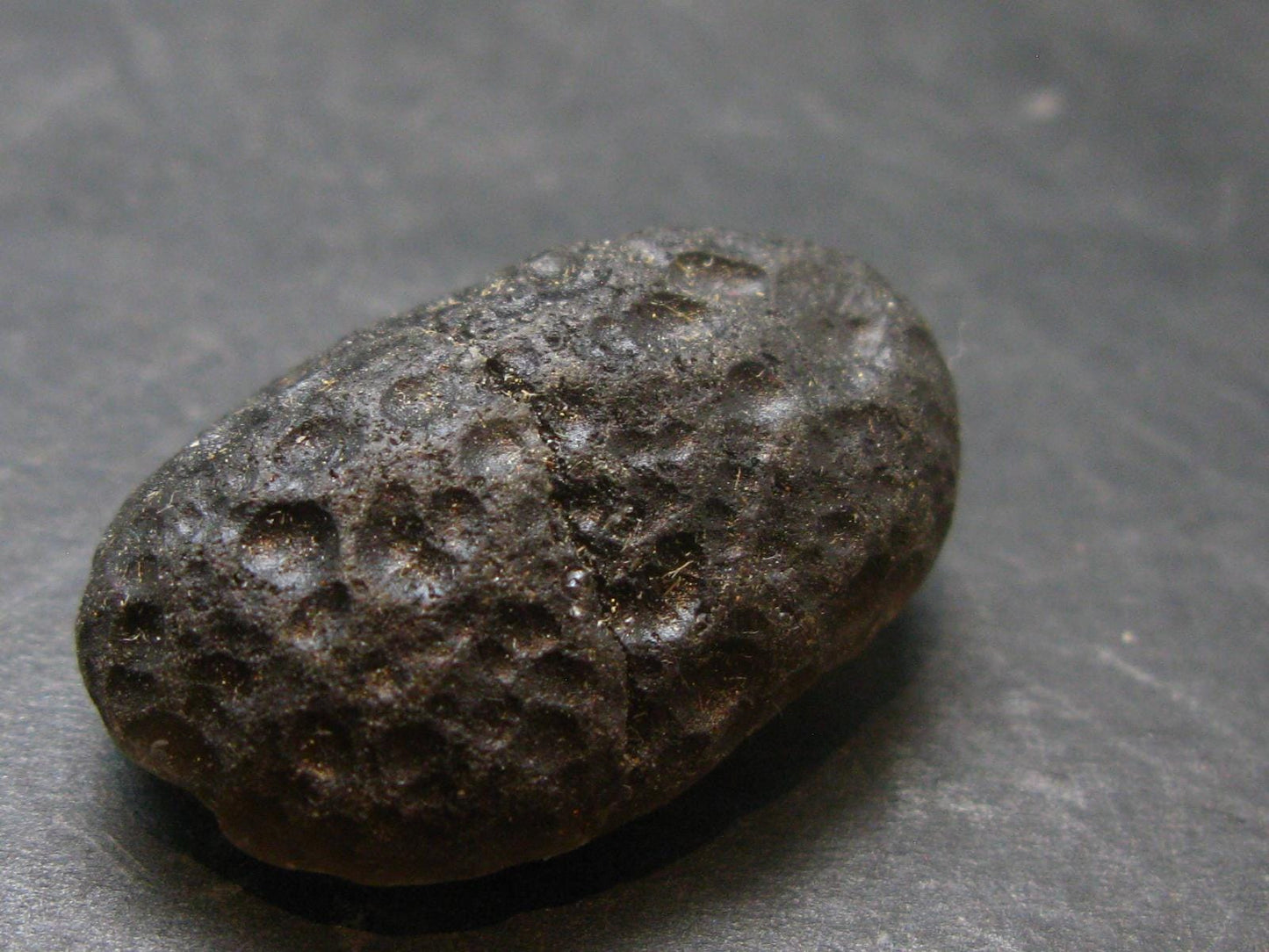 Colombianite Pseudotektite from Colombia - 9.41 Grams - 1.1"