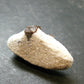 A Perfect Staurolite Crystal from Russia - 1.2" - 7.03 Grams