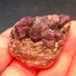 Museum Alexandrite Chrysoberyl Cluster From Zimbabwe - 48.9 Grams - 1.8"