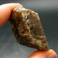 Green Apatite Crystal From Canada - 1.6" - 36.71 Grams