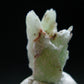 Very Rare Phosphophyllite Crystal From Bolivia - 0.6" - 1.10 Grams