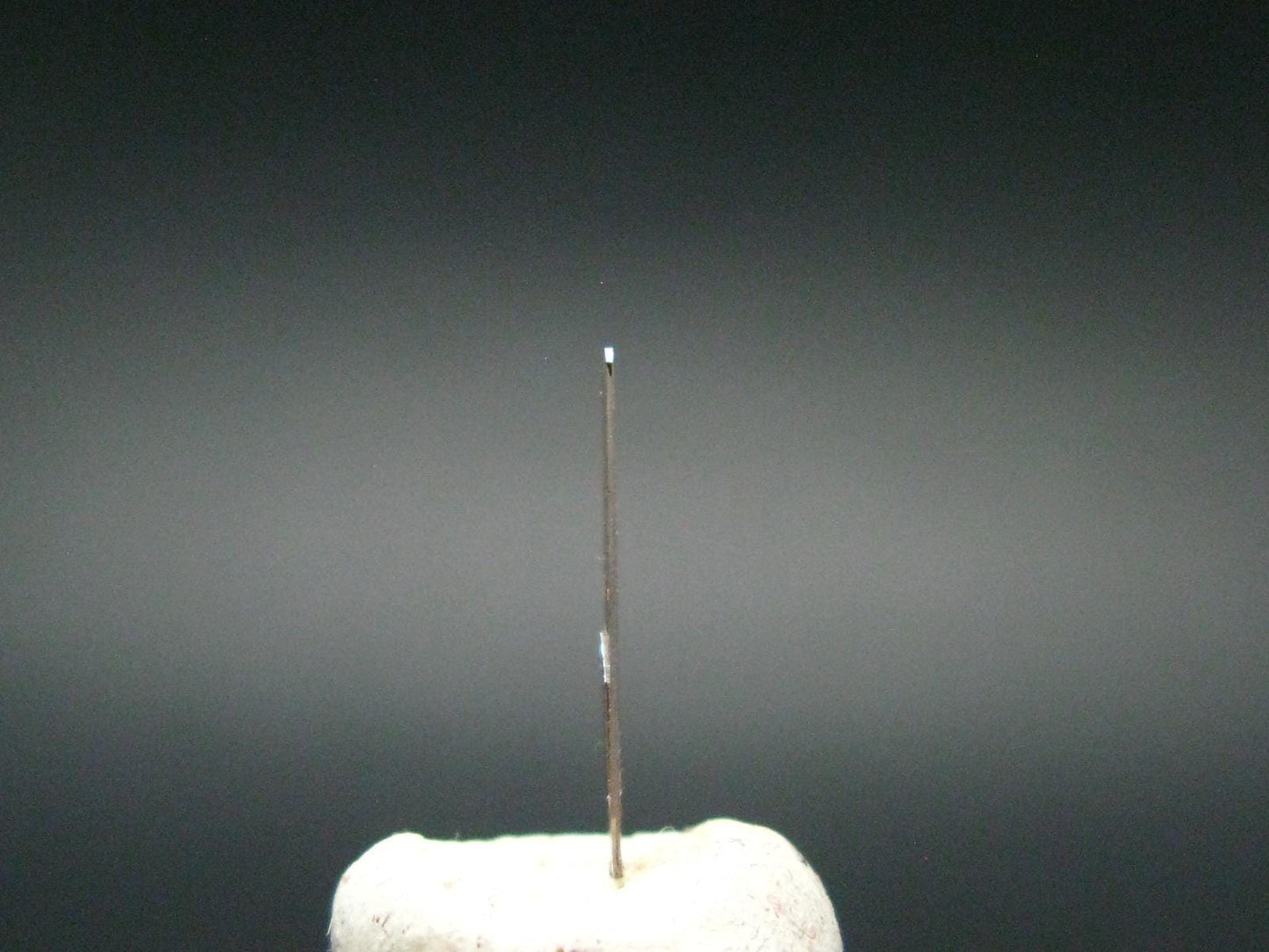 Large Brookite Crystal From Pakistan - 0.10 Grams - 15 mm