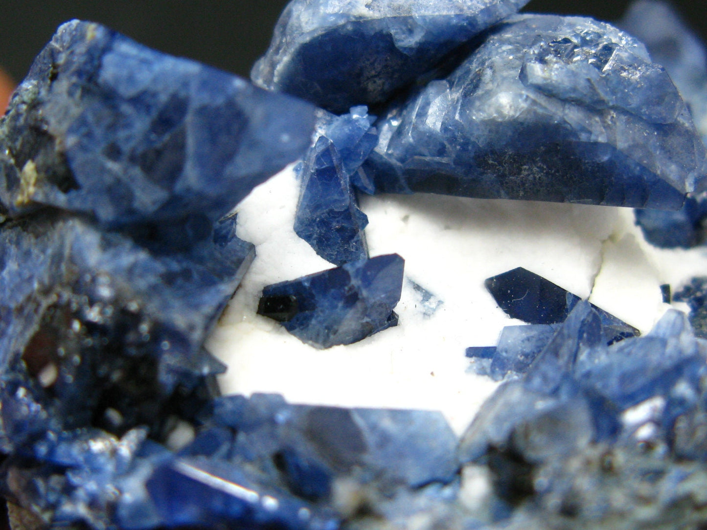 Museum Benitoite and Neptunite on Natrolite Cluster From California - 3.2"