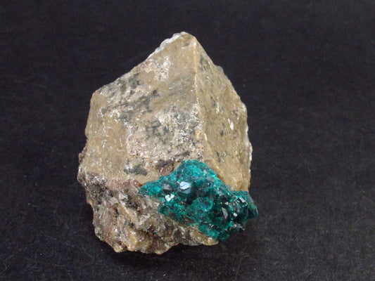 Very Nice Dioptase Cluster from Congo - 2.1" - 54.7 Grams