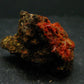 Rare Orange Crocoite Cluster From Australia - 1.4"- 12.09 Grams
