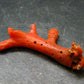 Rare Natural Red Coral From Italy - 1.8" - 2.77 Grams