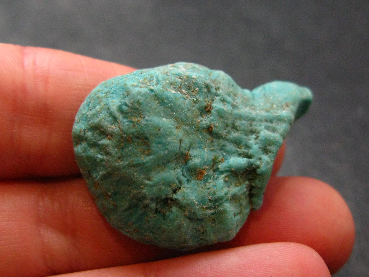 Genuine Tumbled Turquoise from Arizona, USA - 1.4" - 10.0 Grams