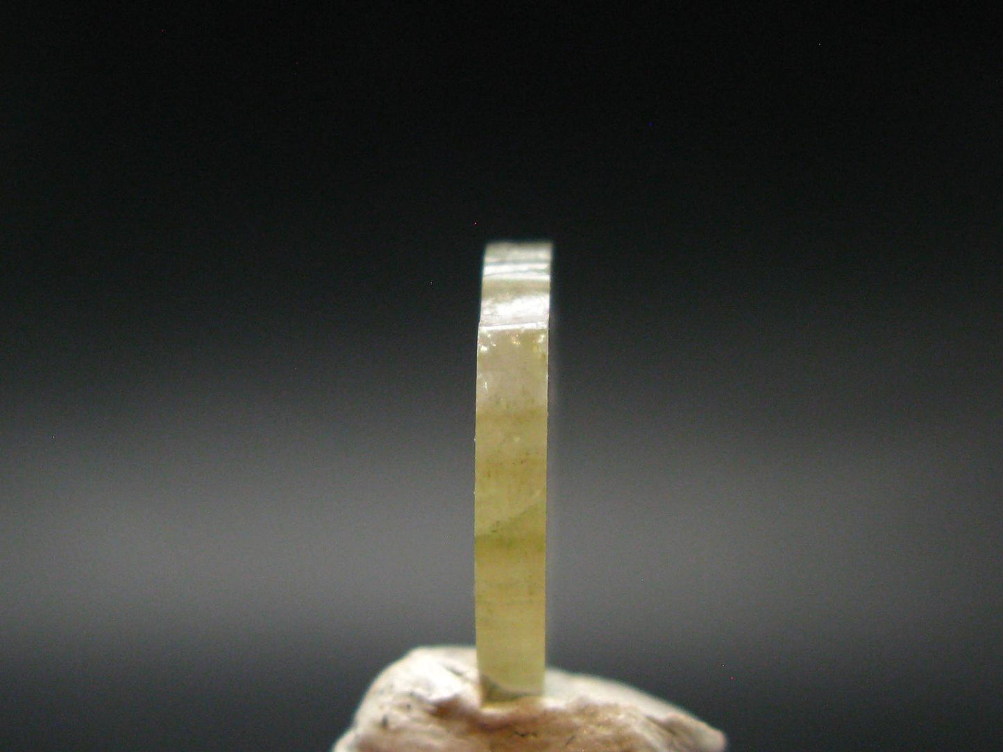 Rare Watermelon Tourmaline Crystal Slice From Brazil - 4.65 Carats