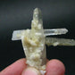 Bertrandite on Quartz cluster from Russia - 2.1"