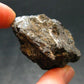 Rare Nuumite Nuummite Raw Piece From Greenland - 33.62 Grams - 1.8"