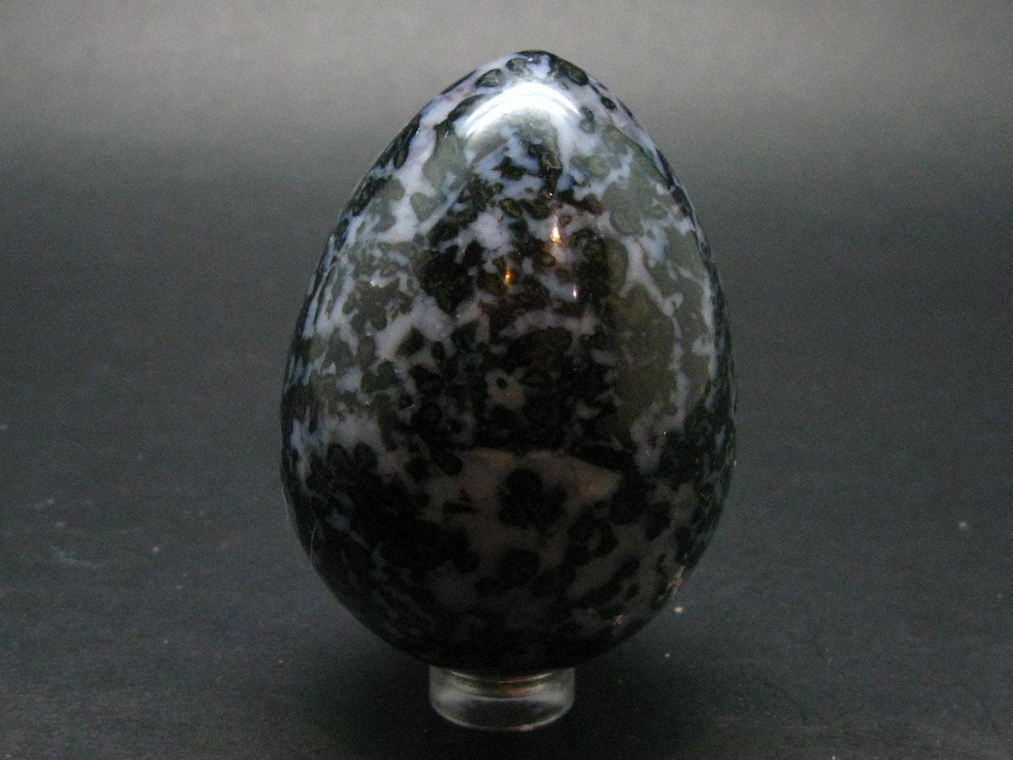 Rare Gabbro Mystic Merlinite Egg from Indian Ocean - 2.5" - 220.78 Grams