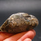 Rare Witches Finger Quartz Crystal Tumble From Zambia - 2.5" - 62.82 Grams