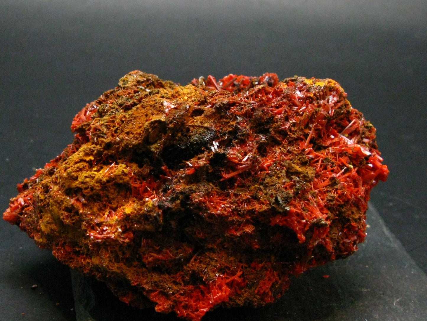 Rare Orange Crocoite Cluster From Australia - 3.7" - 379.03 Grams