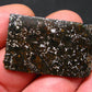 Large Admire Meteorite Pallasite Olivine Slice From Kansas, USA - 1.4" - 6.58 Grams
