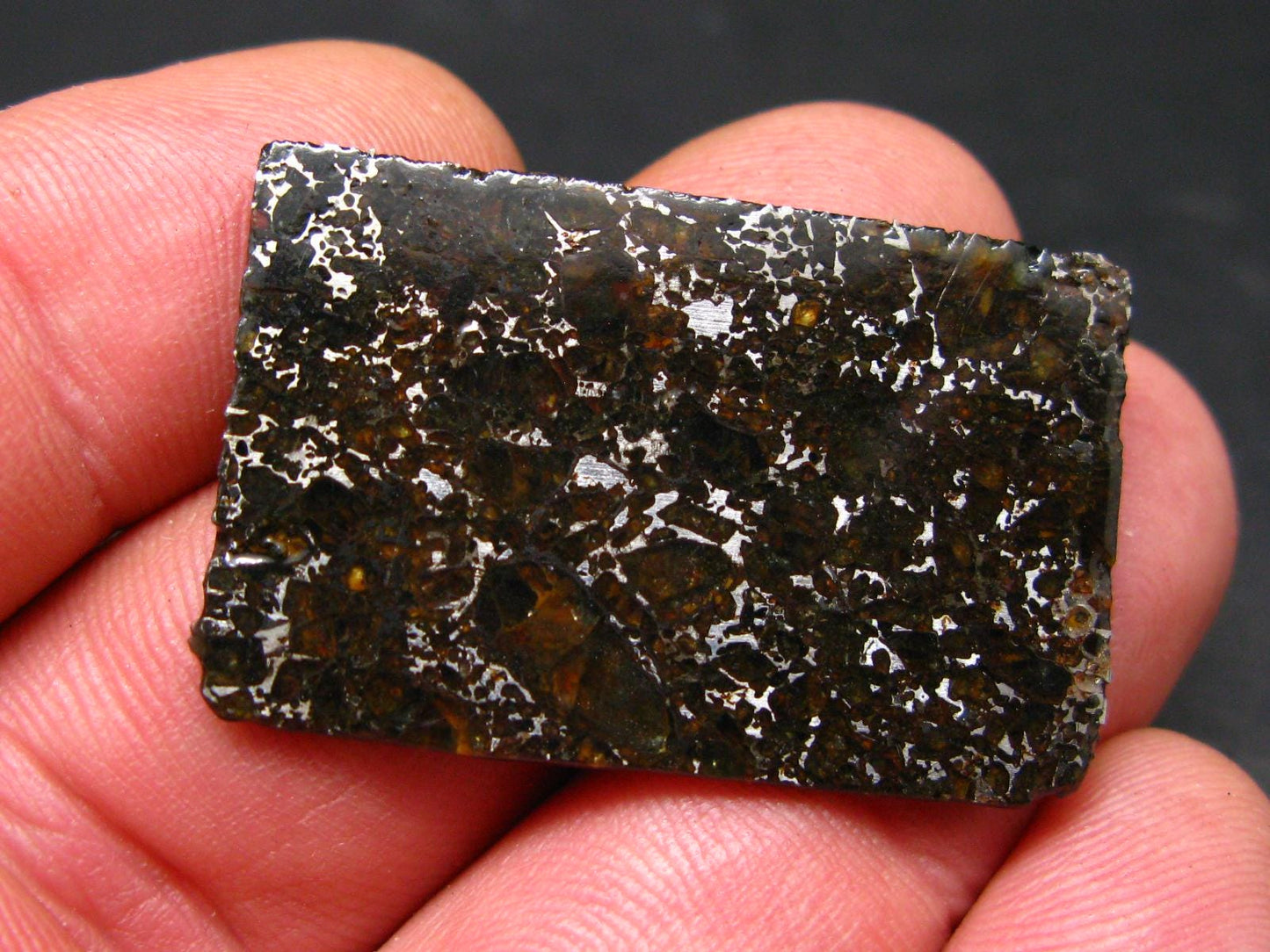 Large Admire Meteorite Pallasite Olivine Slice From Kansas, USA - 1.4" - 6.58 Grams